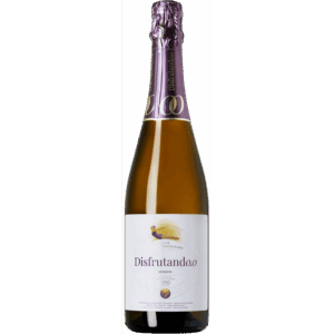 vino2